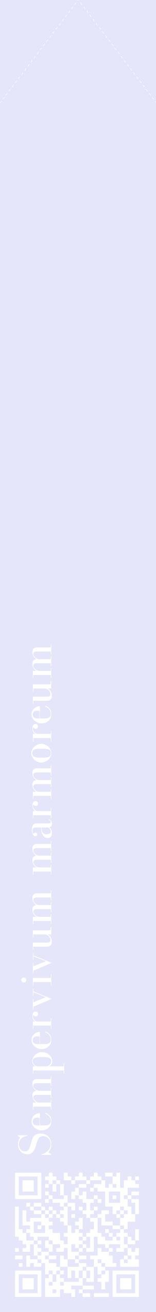 Étiquette de : Sempervivum marmoreum - format c - style blanche55_simplebod avec qrcode et comestibilité