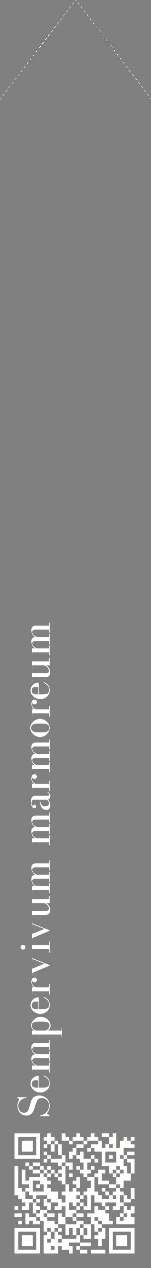 Étiquette de : Sempervivum marmoreum - format c - style blanche57_simplebod avec qrcode et comestibilité