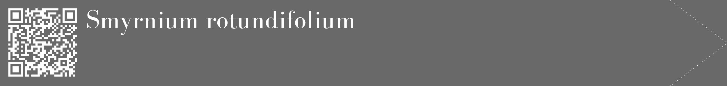Étiquette de : Smyrnium rotundifolium - format c - style blanche11_simple_simplebod avec qrcode et comestibilité