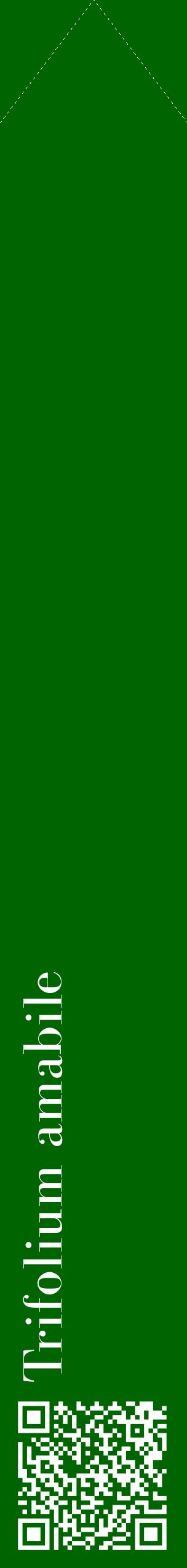 Étiquette de : Trifolium amabile - format c - style blanche8_simplebod avec qrcode et comestibilité