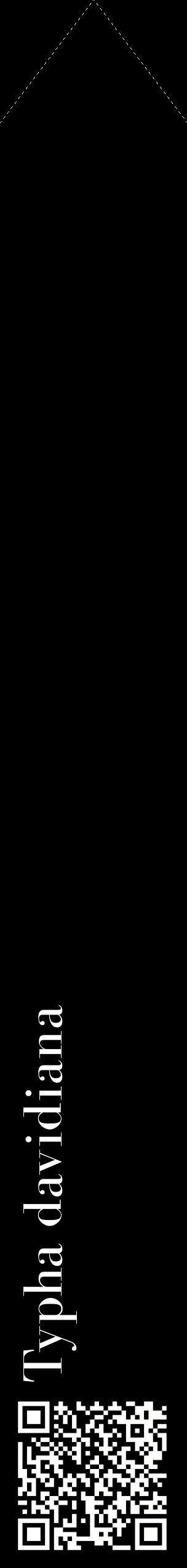 Étiquette de : Typha davidiana - format c - style blanche59_simplebod avec qrcode et comestibilité