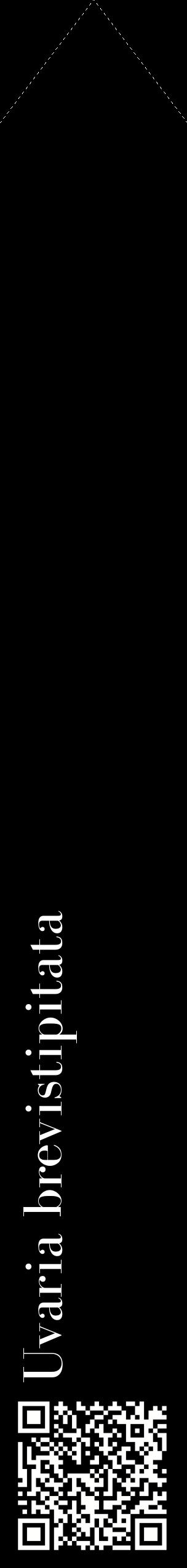 Étiquette de : Uvaria brevistipitata - format c - style blanche59_simplebod avec qrcode et comestibilité