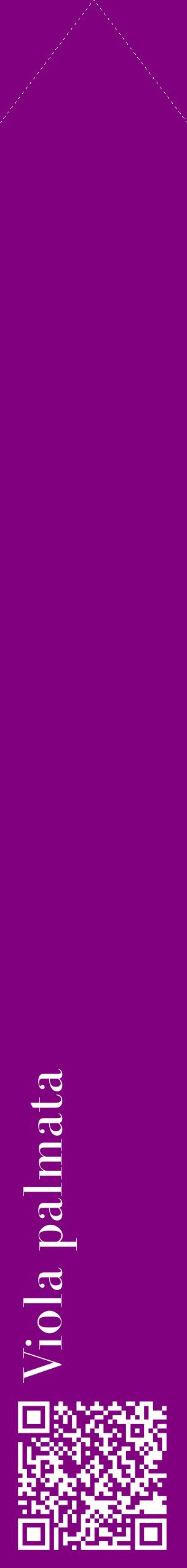 Étiquette de : Viola palmata - format c - style blanche46_simplebod avec qrcode et comestibilité