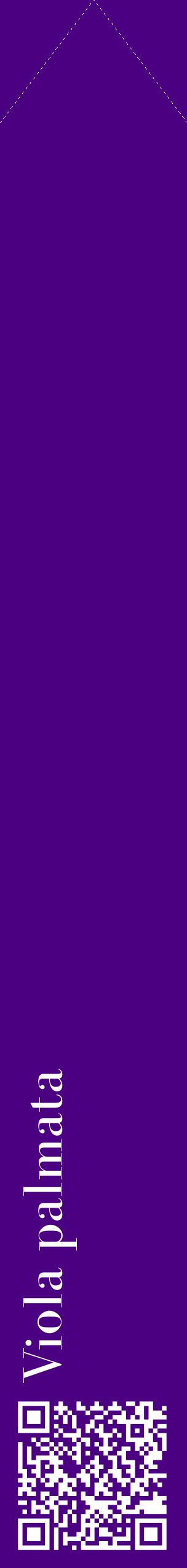 Étiquette de : Viola palmata - format c - style blanche47_simplebod avec qrcode et comestibilité