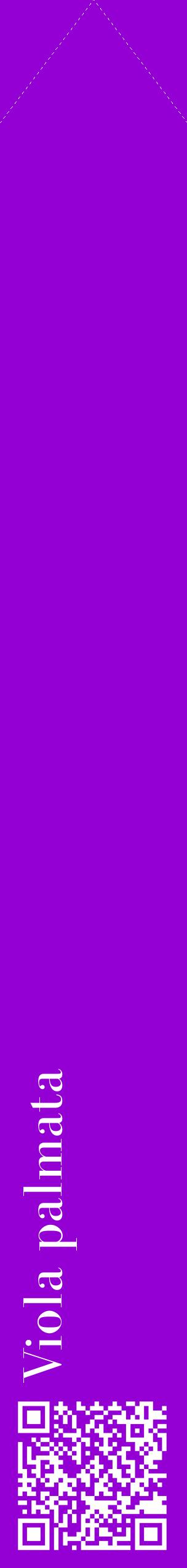 Étiquette de : Viola palmata - format c - style blanche48_simplebod avec qrcode et comestibilité