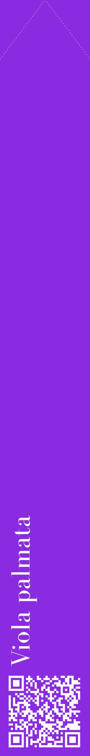 Étiquette de : Viola palmata - format c - style blanche49_simplebod avec qrcode et comestibilité