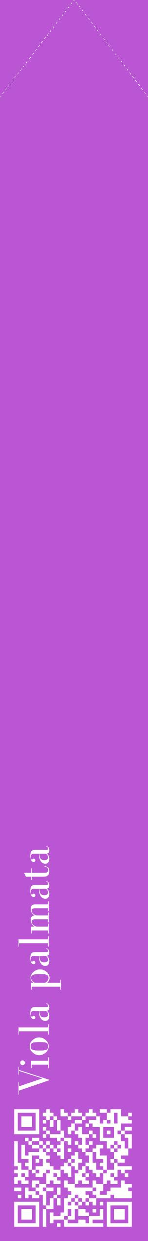 Étiquette de : Viola palmata - format c - style blanche50_simplebod avec qrcode et comestibilité