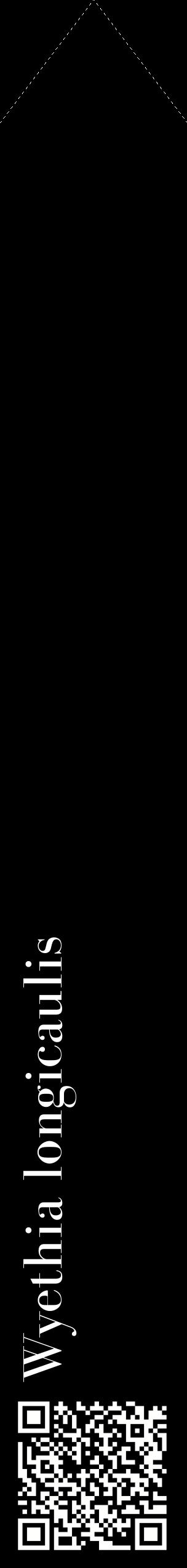 Étiquette de : Wyethia longicaulis - format c - style blanche59_simplebod avec qrcode et comestibilité