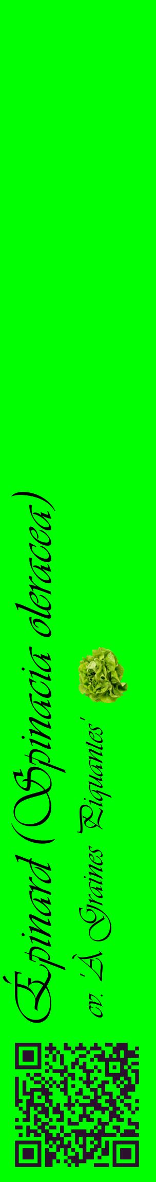 Étiquette de : Spinacia oleracea cv. 'À Graines Piquantes' - format c - style noire16_basiqueviv avec qrcode et comestibilité simplifiée