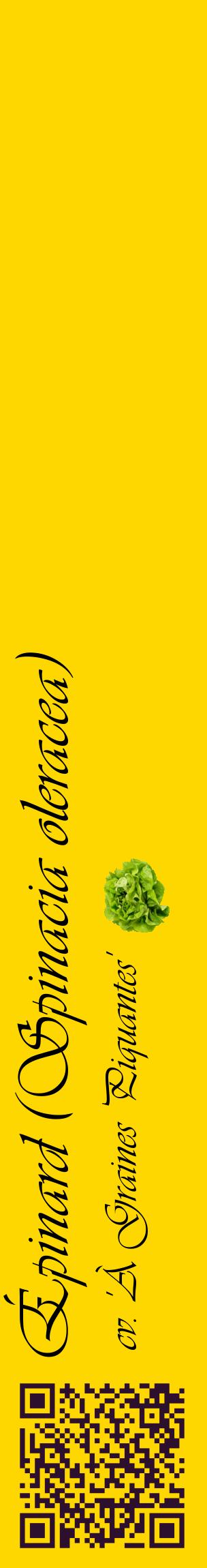 Étiquette de : Spinacia oleracea cv. 'À Graines Piquantes' - format c - style noire21_basiqueviv avec qrcode et comestibilité simplifiée