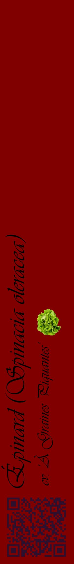 Étiquette de : Spinacia oleracea cv. 'À Graines Piquantes' - format c - style noire29_basiqueviv avec qrcode et comestibilité simplifiée