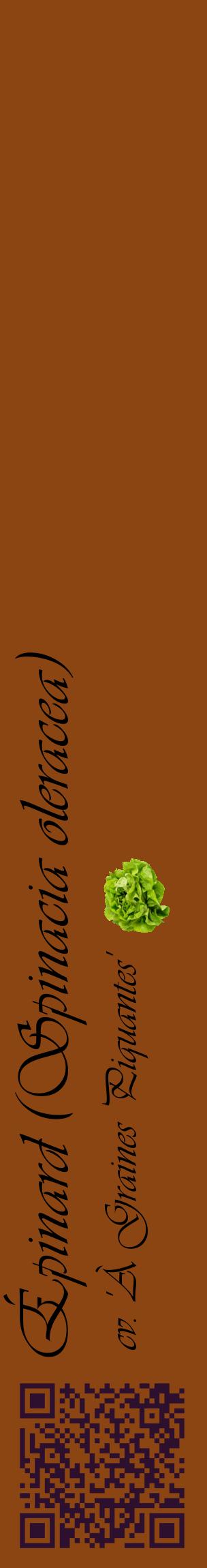 Étiquette de : Spinacia oleracea cv. 'À Graines Piquantes' - format c - style noire30_basiqueviv avec qrcode et comestibilité simplifiée