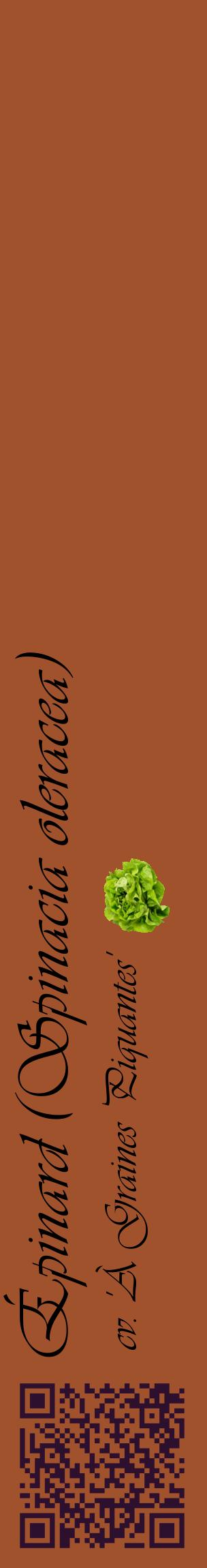 Étiquette de : Spinacia oleracea cv. 'À Graines Piquantes' - format c - style noire32_basiqueviv avec qrcode et comestibilité simplifiée