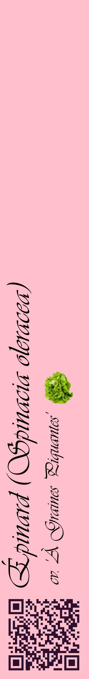 Étiquette de : Spinacia oleracea cv. 'À Graines Piquantes' - format c - style noire40_basiqueviv avec qrcode et comestibilité simplifiée