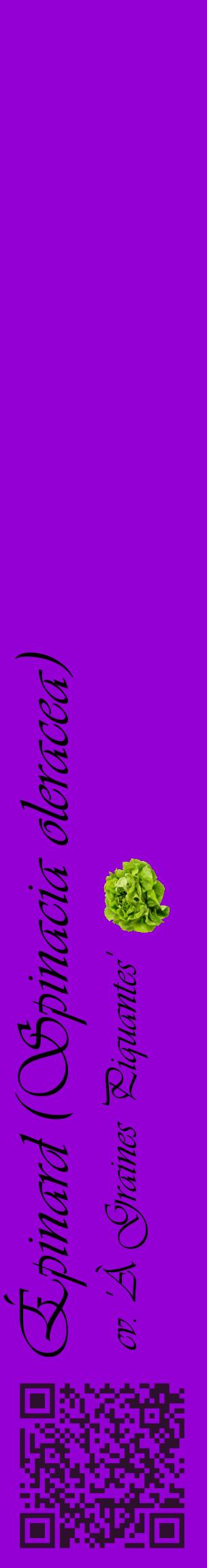 Étiquette de : Spinacia oleracea cv. 'À Graines Piquantes' - format c - style noire48_basiqueviv avec qrcode et comestibilité simplifiée