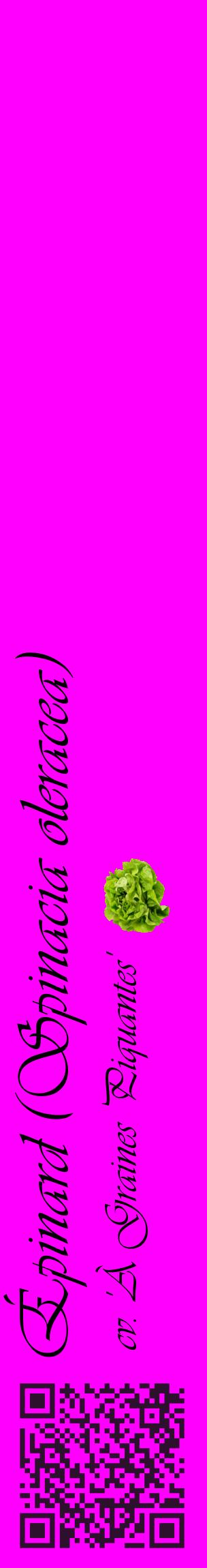 Étiquette de : Spinacia oleracea cv. 'À Graines Piquantes' - format c - style noire51_basiqueviv avec qrcode et comestibilité simplifiée