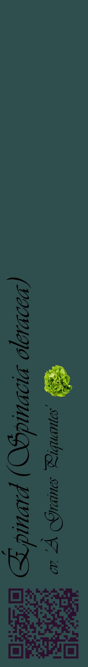 Étiquette de : Spinacia oleracea cv. 'À Graines Piquantes' - format c - style noire58_basiqueviv avec qrcode et comestibilité simplifiée
