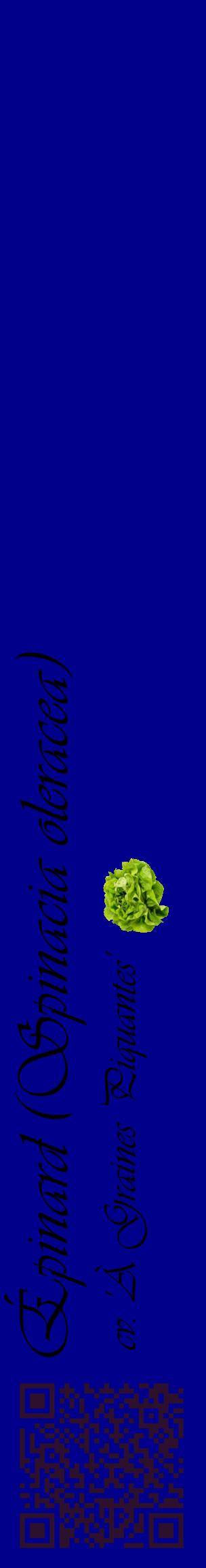 Étiquette de : Spinacia oleracea cv. 'À Graines Piquantes' - format c - style noire7_basiqueviv avec qrcode et comestibilité simplifiée