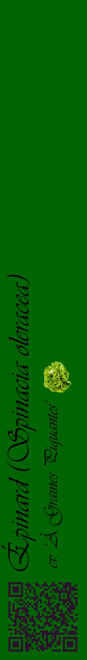 Étiquette de : Spinacia oleracea cv. 'À Graines Piquantes' - format c - style noire8_basiqueviv avec qrcode et comestibilité simplifiée