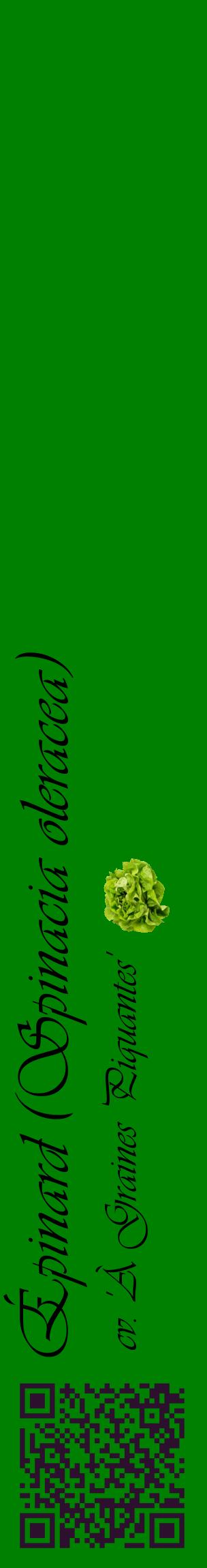 Étiquette de : Spinacia oleracea cv. 'À Graines Piquantes' - format c - style noire9_basiqueviv avec qrcode et comestibilité simplifiée
