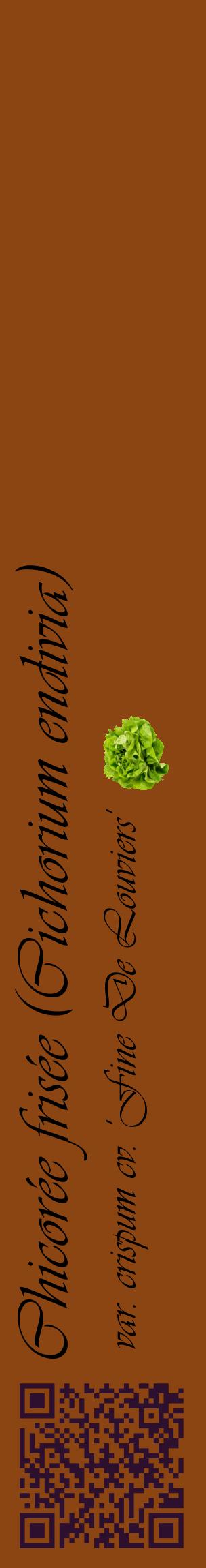Étiquette de : Cichorium endivia var. crispum cv. 'Fine De Louviers' - format c - style noire30_basiqueviv avec qrcode et comestibilité simplifiée