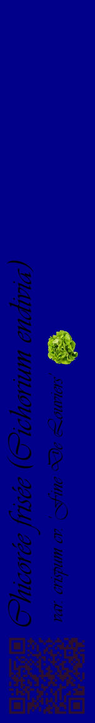 Étiquette de : Cichorium endivia var. crispum cv. 'Fine De Louviers' - format c - style noire7_basiqueviv avec qrcode et comestibilité simplifiée