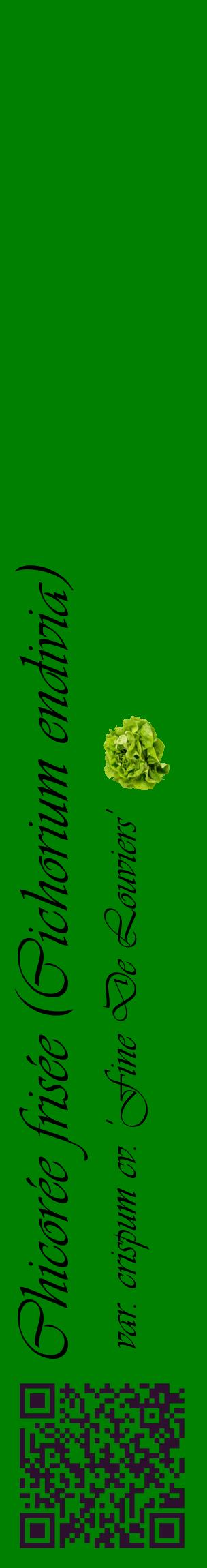Étiquette de : Cichorium endivia var. crispum cv. 'Fine De Louviers' - format c - style noire9_basiqueviv avec qrcode et comestibilité simplifiée