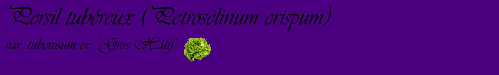 Étiquette de : Petroselinum crispum var. tuberosum cv. 'Gros Hâtif' - format c - style noire47basique_basique_basiqueviv avec comestibilité simplifiée
