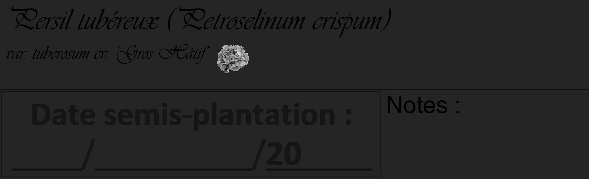 Étiquette de : Petroselinum crispum var. tuberosum cv. 'Gros Hâtif' - format c - style noire47basique_basique_basiqueviv avec comestibilité simplifiée