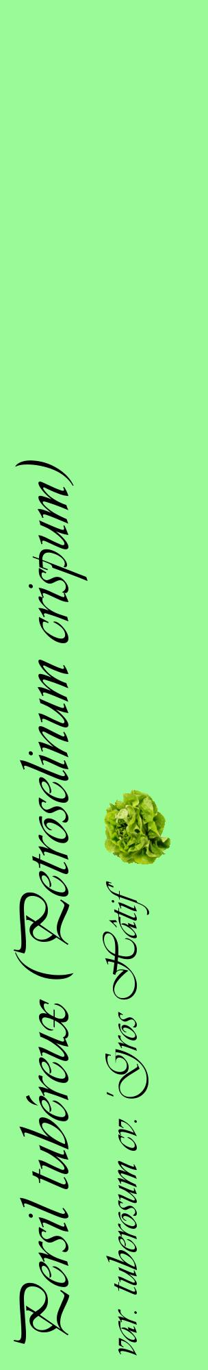 Étiquette de : Petroselinum crispum var. tuberosum cv. 'Gros Hâtif' - format c - style noire14_basiqueviv avec comestibilité simplifiée