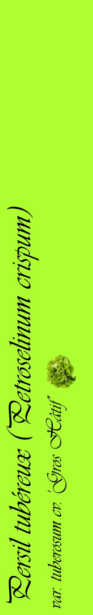 Étiquette de : Petroselinum crispum var. tuberosum cv. 'Gros Hâtif' - format c - style noire17_basiqueviv avec comestibilité simplifiée