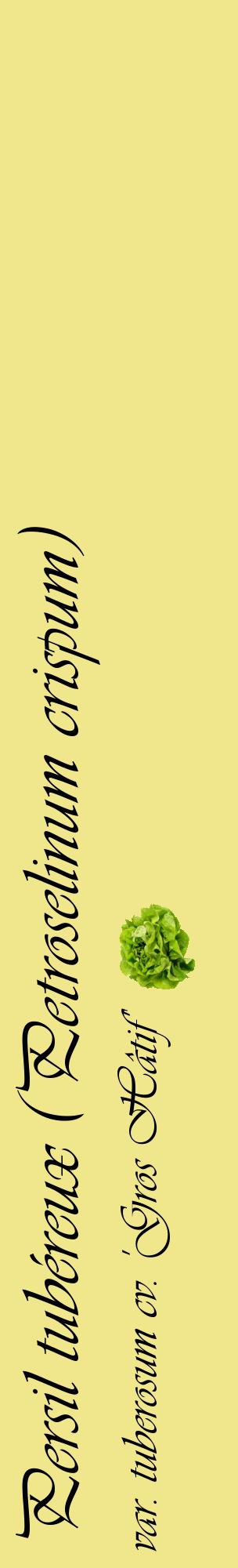 Étiquette de : Petroselinum crispum var. tuberosum cv. 'Gros Hâtif' - format c - style noire20_basiqueviv avec comestibilité simplifiée