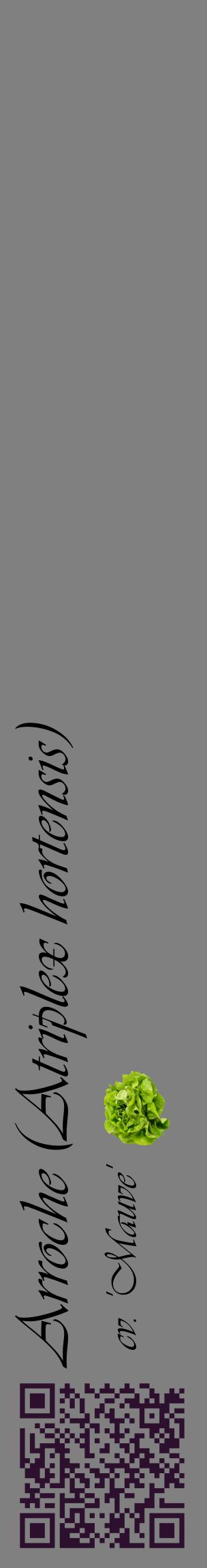 Étiquette de : Atriplex hortensis cv. 'Mauve' - format c - style noire57_basiqueviv avec qrcode et comestibilité simplifiée