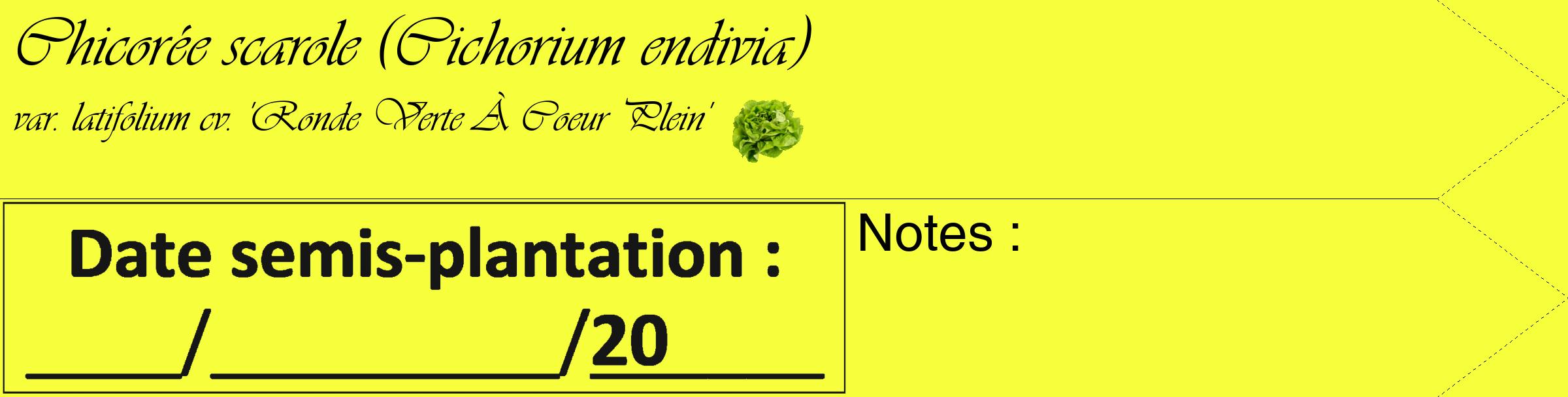 Étiquette de : Cichorium endivia var. latifolium cv. 'Ronde Verte À Coeur Plein' - format c - style noire18_simple_simpleviv avec comestibilité simplifiée
