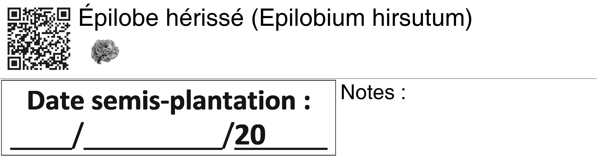 Étiquette de : Epilobium hirsutum - format c - style noire60_basiquegrrvhel avec qrcode et comestibilité simplifiée