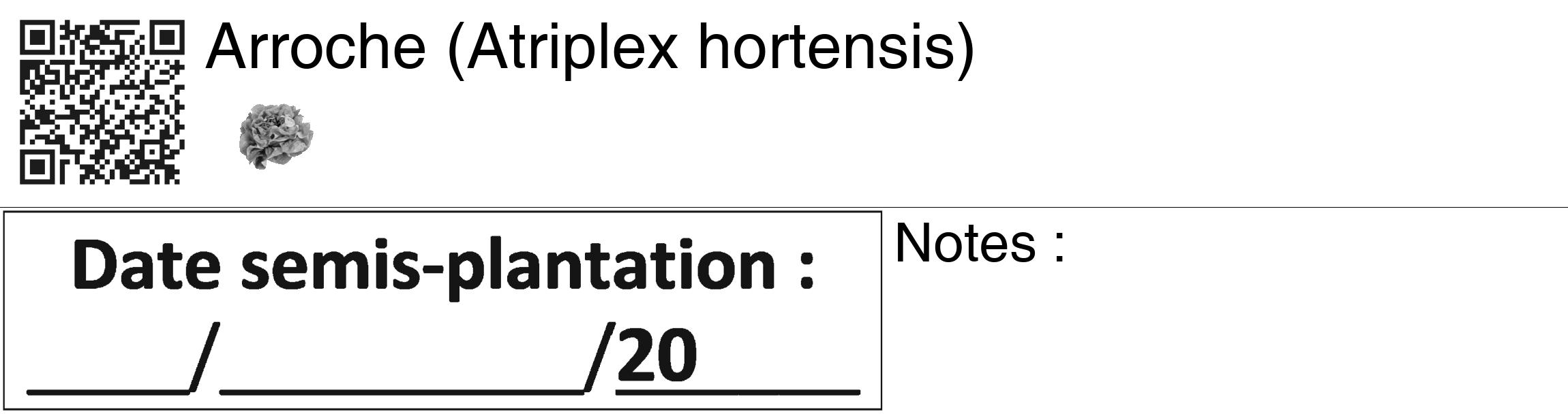 Étiquette de : Atriplex hortensis - format c - style noire60_basiquegrrvhel avec qrcode et comestibilité simplifiée