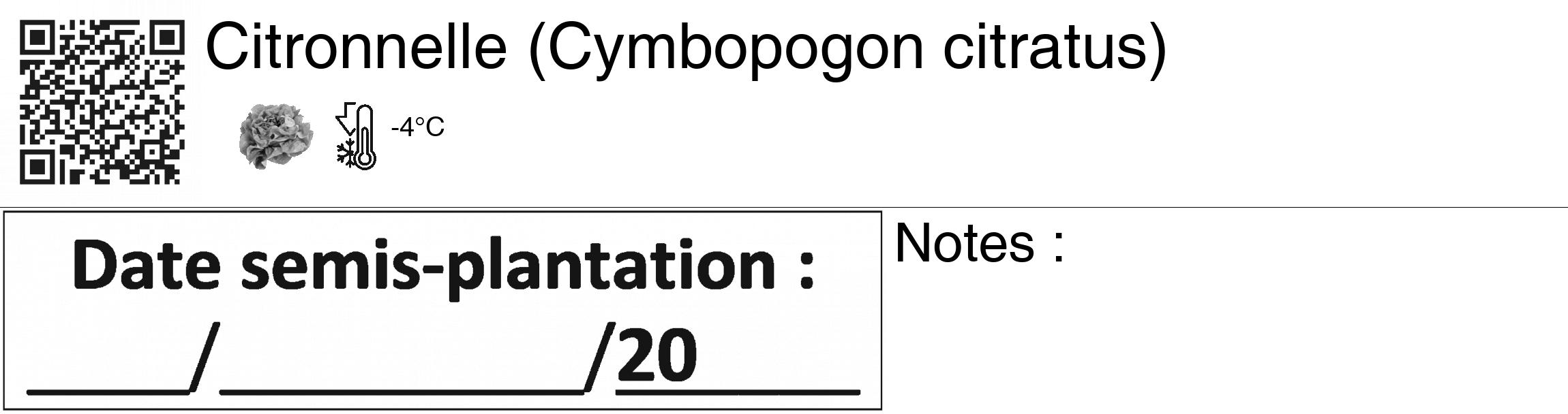 Étiquette de : Cymbopogon citratus - format c - style noire60_basiquegrrvhel avec qrcode et comestibilité simplifiée