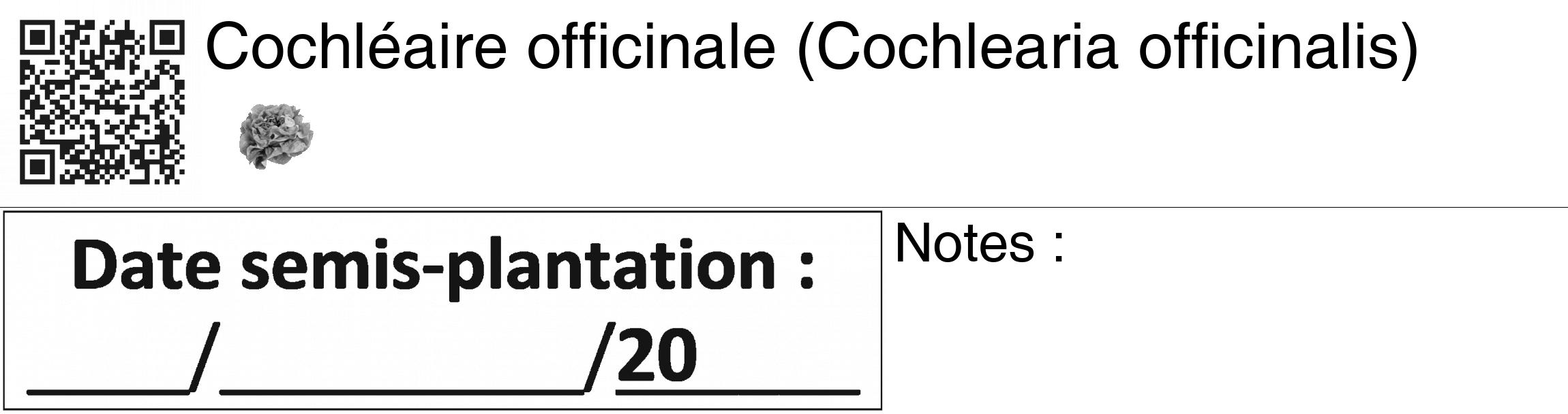 Étiquette de : Cochlearia officinalis - format c - style noire60_basiquegrrvhel avec qrcode et comestibilité simplifiée