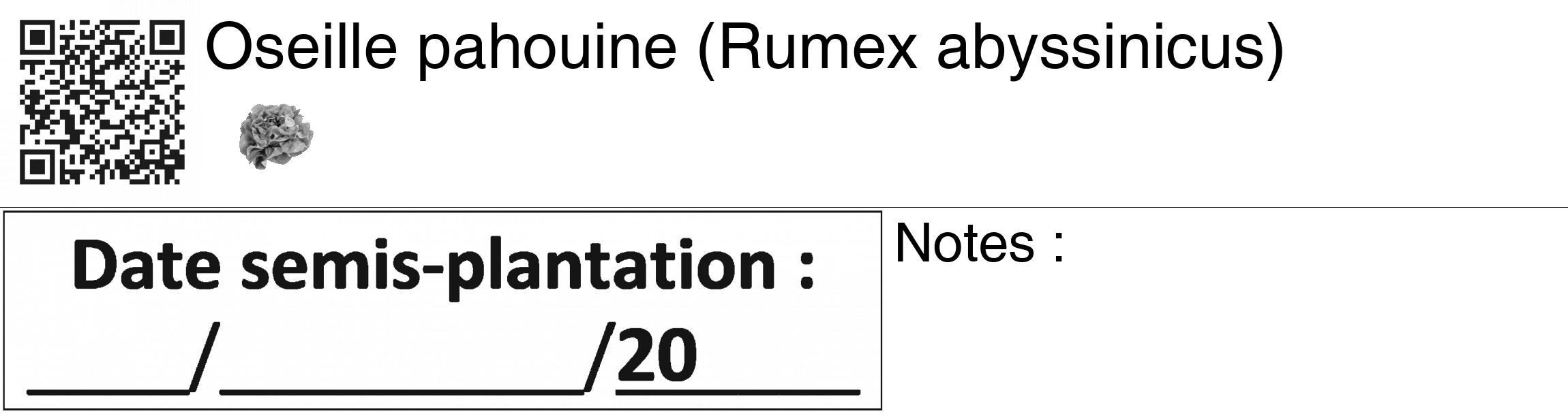 Étiquette de : Rumex abyssinicus - format c - style noire60_basiquegrrvhel avec qrcode et comestibilité simplifiée