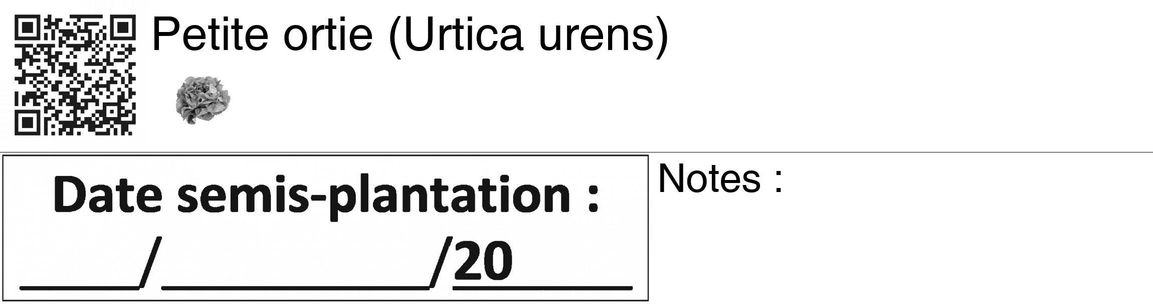 Étiquette de : Urtica urens - format c - style noire60_basiquegrrvhel avec qrcode et comestibilité simplifiée