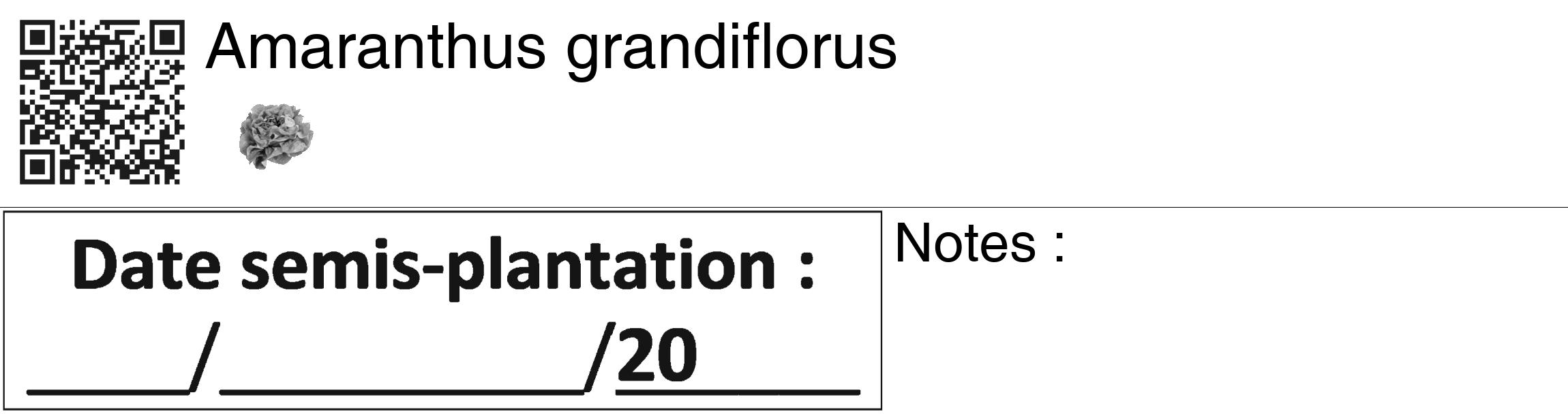 Étiquette de : Amaranthus grandiflorus - format c - style noire60_basiquegrrvhel avec qrcode et comestibilité simplifiée