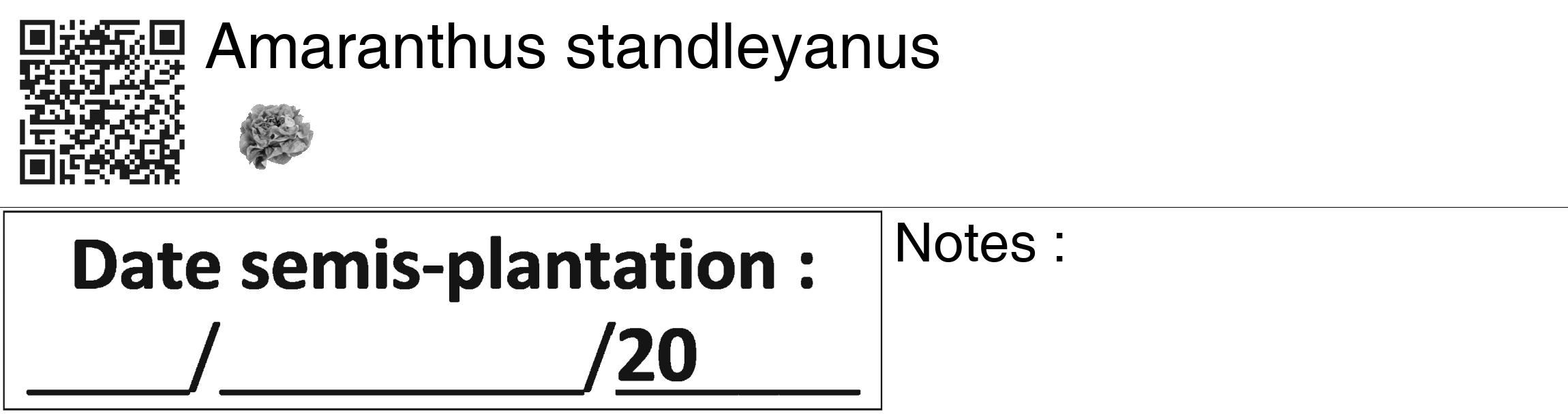 Étiquette de : Amaranthus standleyanus - format c - style noire60_basiquegrrvhel avec qrcode et comestibilité simplifiée