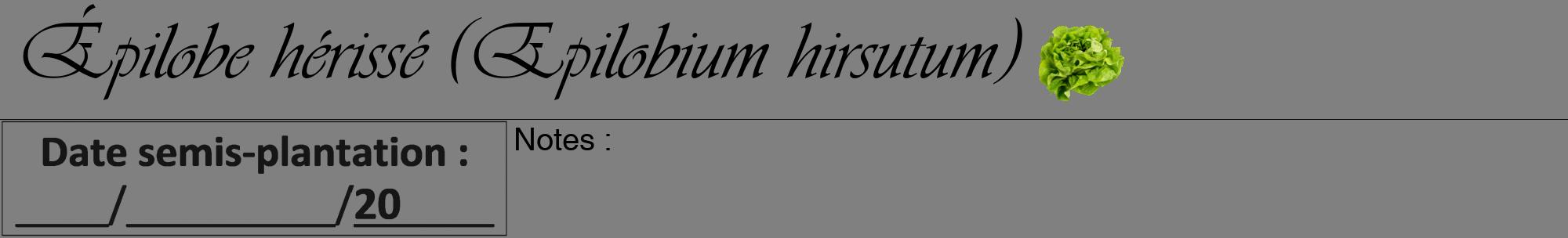 Étiquette de : Epilobium hirsutum - format a - style noire57basiqueviv avec comestibilité simplifiée