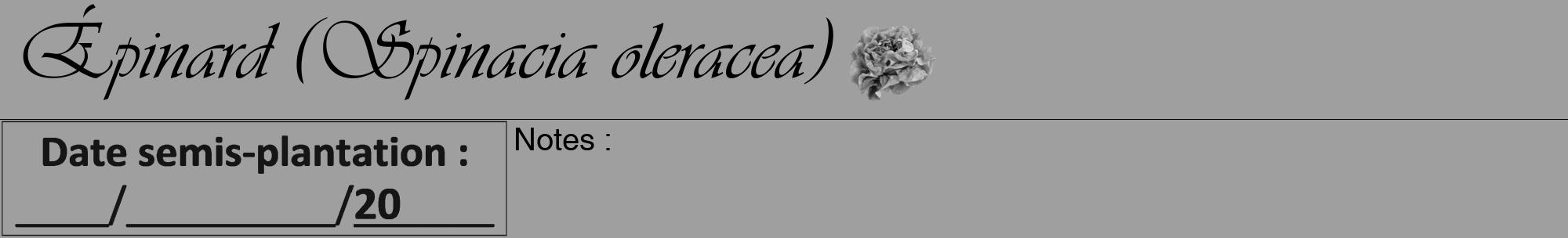 Étiquette de : Spinacia oleracea - format a - style noire24viv avec comestibilité simplifiée