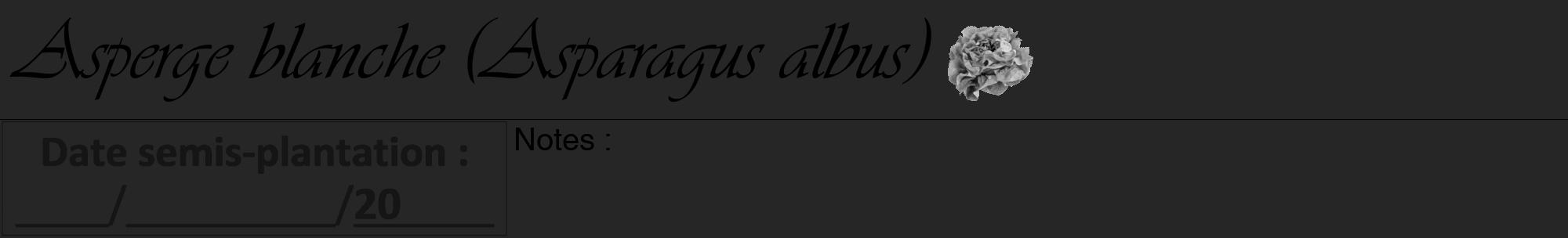 Étiquette de : Asparagus albus - format a - style noire29viv avec comestibilité simplifiée