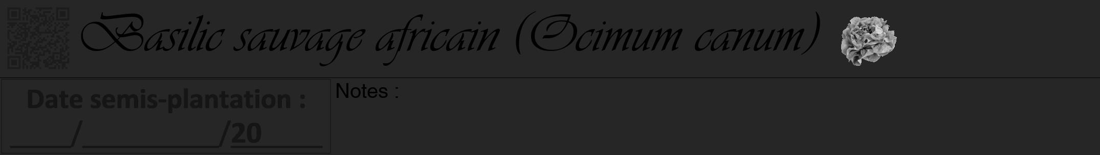 Étiquette de : Ocimum canum - format a - style noire29simpleviv avec qrcode et comestibilité simplifiée