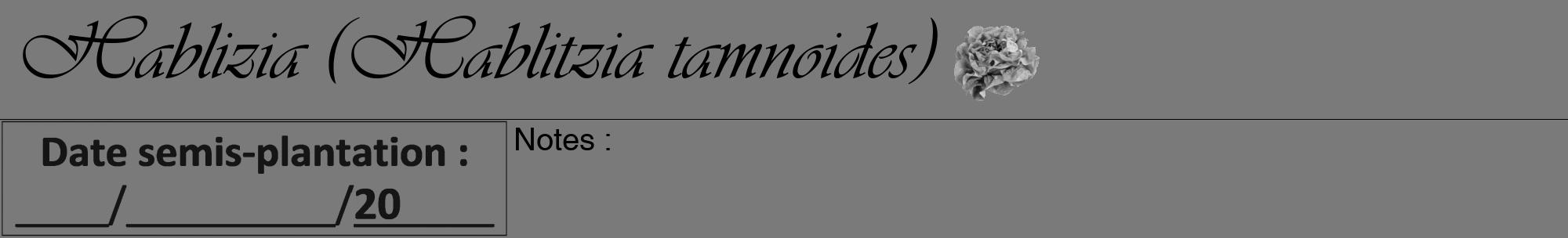 Étiquette de : Hablitzia tamnoides - format a - style noire3viv avec comestibilité simplifiée