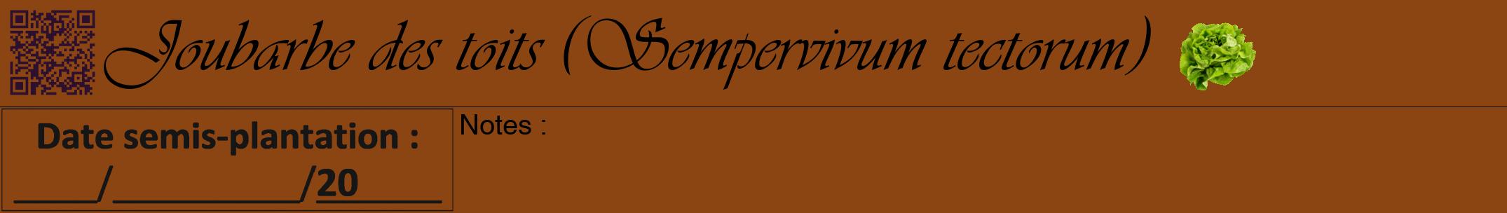 Étiquette de : Sempervivum tectorum - format a - style noire30viv avec qrcode et comestibilité simplifiée