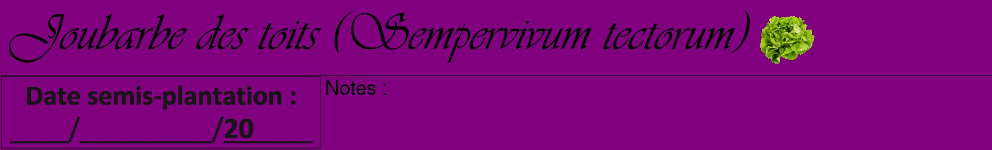 Étiquette de : Sempervivum tectorum - format a - style noire46viv avec comestibilité simplifiée