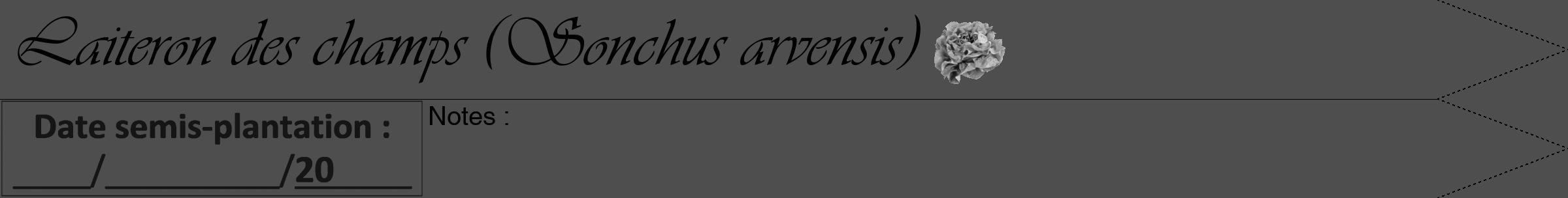 Étiquette de : Sonchus arvensis - format a - style noire33simpleviv avec comestibilité simplifiée